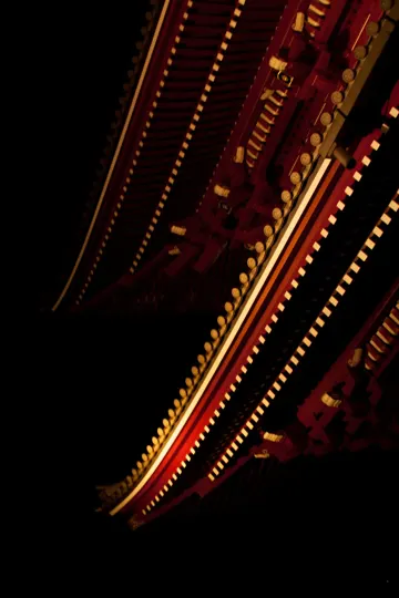 Illuminated temple roof edges glow against a dark night sky.