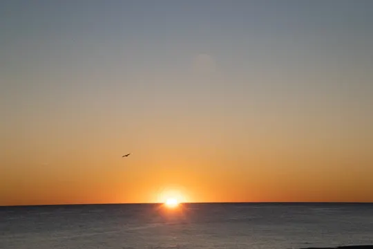 Golden sun dips below horizon, casting warm glow over calm ocean at dusk.