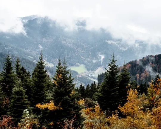 Misty mountains and autumn foliage under overcast skies, soft light.