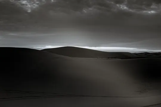 Rolling sand dunes stretch under a moody, overcast sky with soft, diffused light.