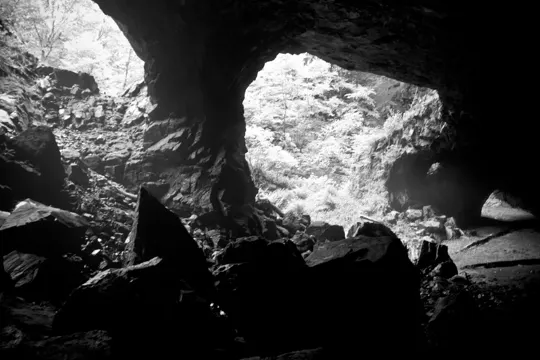 Sunlight filters through a cave entrance, illuminating jagged rocks and dense forest beyond.