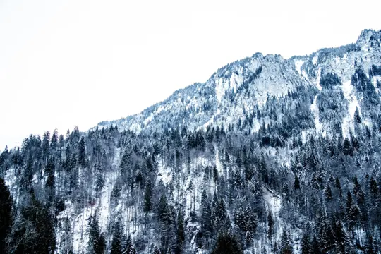 Snow-dusted mountain slopes rise beneath a pale, overcast sky.