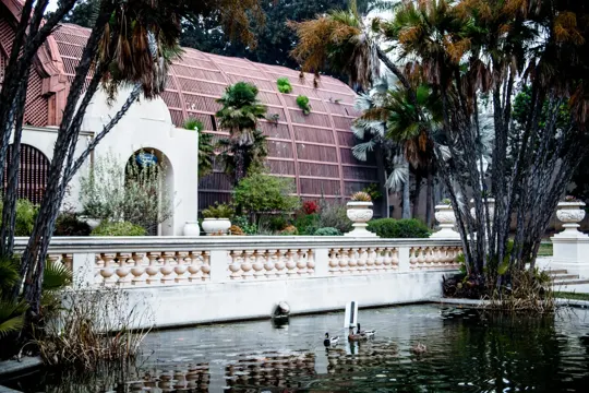 Ducks swim in a pond beside a classical garden with a red-tiled conservatory.