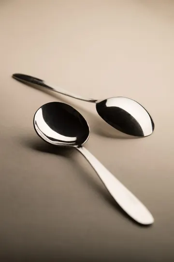 Two polished stainless steel spoons rest on a soft, neutral-toned surface, softly lit.