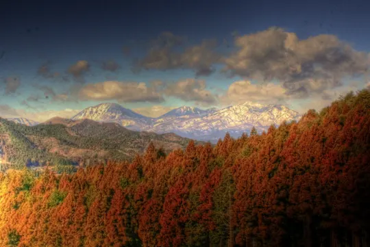 Autumn forest with snow-capped mountains under a partly cloudy sky.