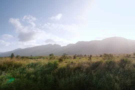 Golden light illuminates rolling grasslands with distant mountains under a bright sky.