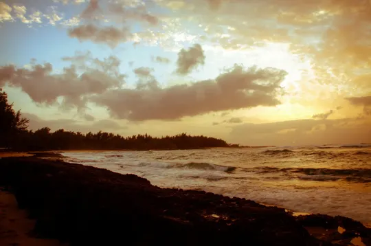 Golden hour light illuminates a coastal landscape with rolling waves and distant treeline.