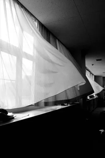 Curtains billow in a dimly lit room, sunlight streaming through a large window.