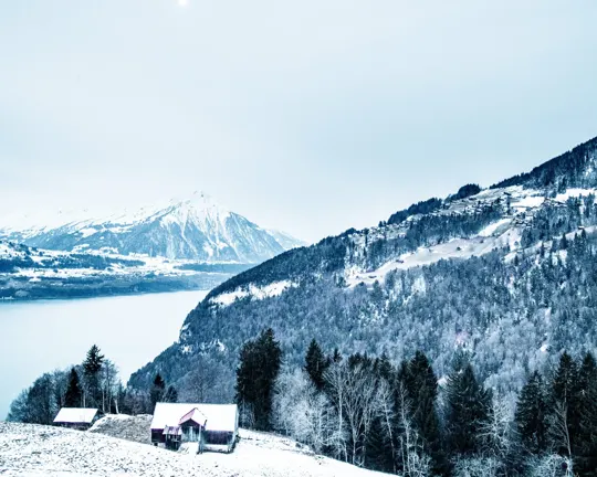 Snow-capped mountains and a lake frame a small cabin in a winter forest.